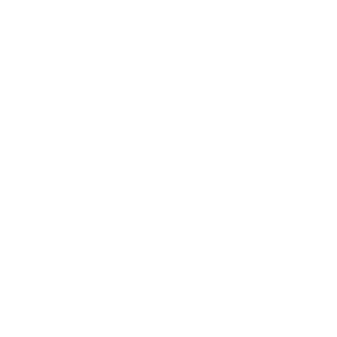 Premium Analysis Plan Icon