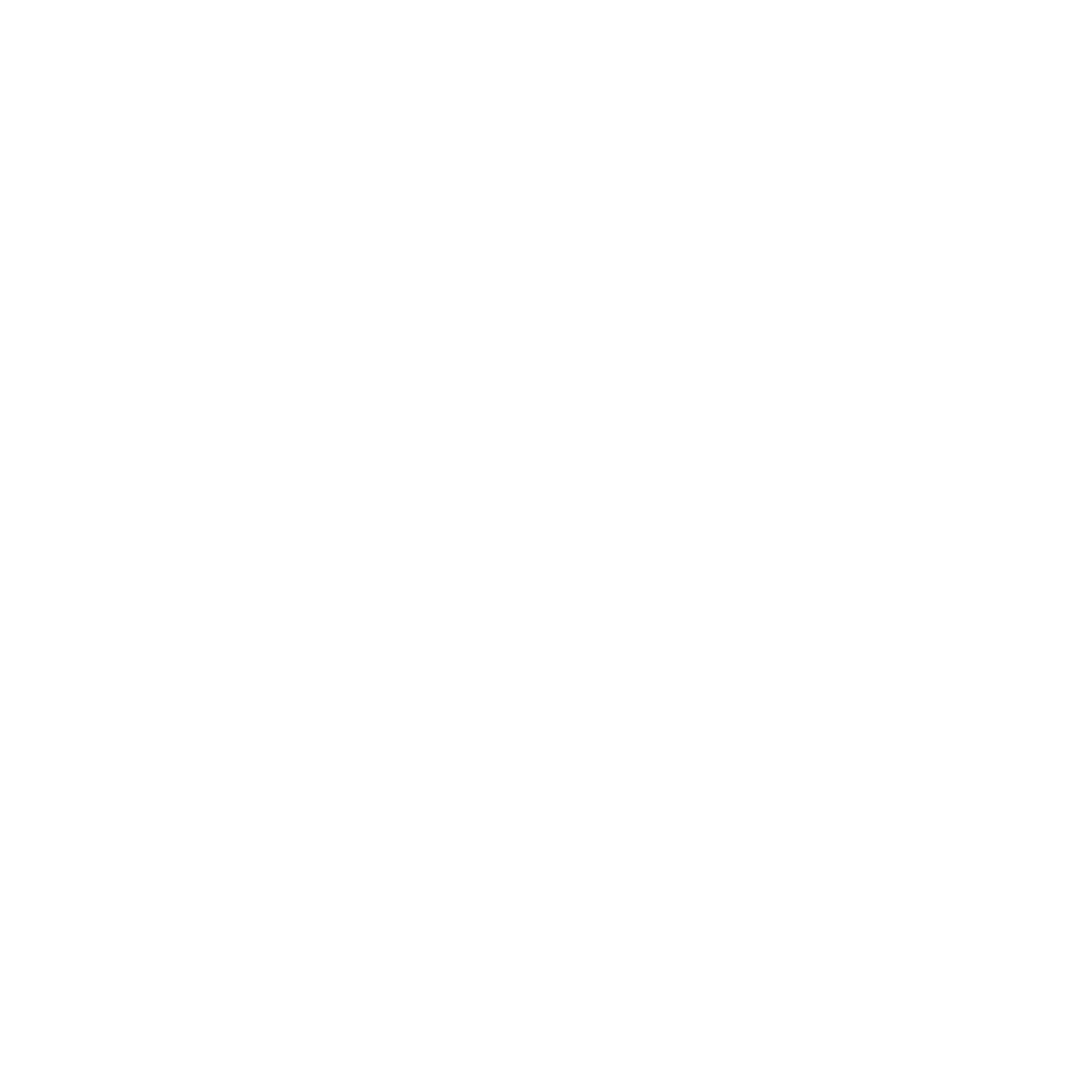 Budget & Credit Analysis